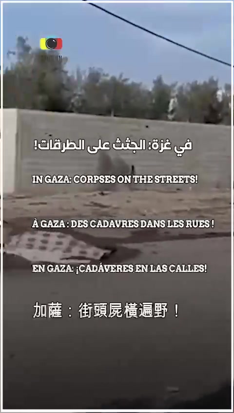 29f22faff143ab8bc70fd8354cc9a1ba In Gaza, there is no place for the living... nor the dead! | China LaoWai